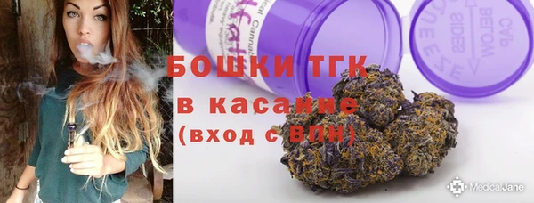 мдпв Верхний Тагил