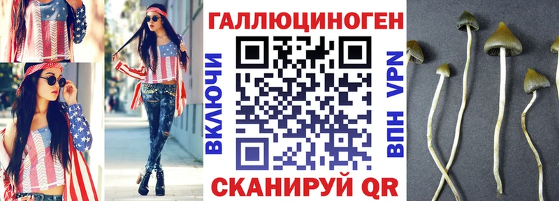hydra сайт  Петухово  Псилоцибиновые грибы ЛСД  сколько стоит 